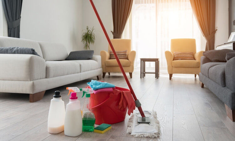 Clean Everything at Your House