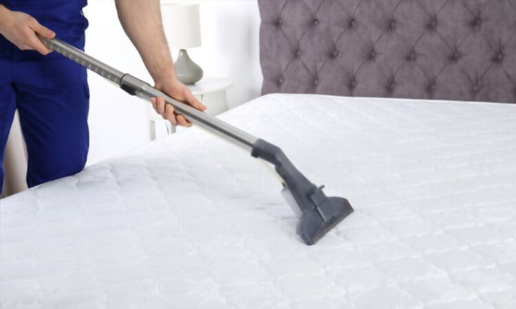 Vacuum More Frequently